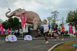 BIB: 
                            <button type="button" onclick="openModal(26528864)" class="btn btn-primary btn-sm float-right btn-popup" data-toggle="modal" data-target=".modal-high-quality">
                        <i class="fas fa-shopping-cart"></i> Add to Cart
                    </button>
                                            <button type="button" onclick="isThisMe(26528864, true)" class="btn btn-success btn-sm float-right btn-popup btn-isme hidden" data-toggle="tooltip" data-placement="bottom" title="นี่คือรูปของคุณใช่ไหม คลิกที่นี่เพื่อเอาเข้าอัลบั้ม">
                        <i class="fas fa-plus"></i> Add to album
                    </button>
                    <button type="button" onclick="isThisMe(26528864, false)" class="btn btn-warning btn-sm float-right btn-popup btn-isnotme hidden">
                        <i class="fas fa-ban"></i> Remove from album
                    </button>